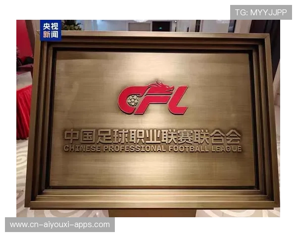 中国足球职业联赛上下游联动发展机制研究，中国足球职业联赛之前