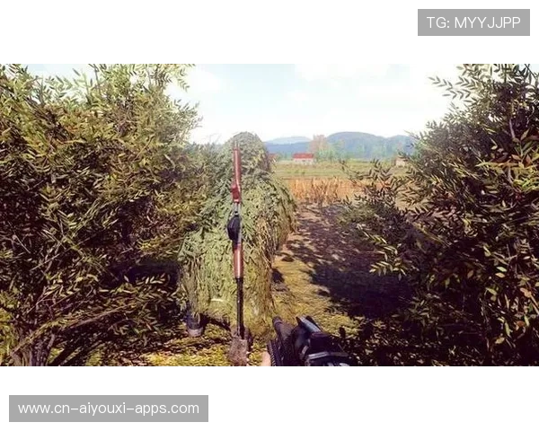 职业联赛的比赛服务器稳定性